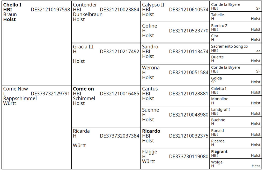 Abstammung Con Chello